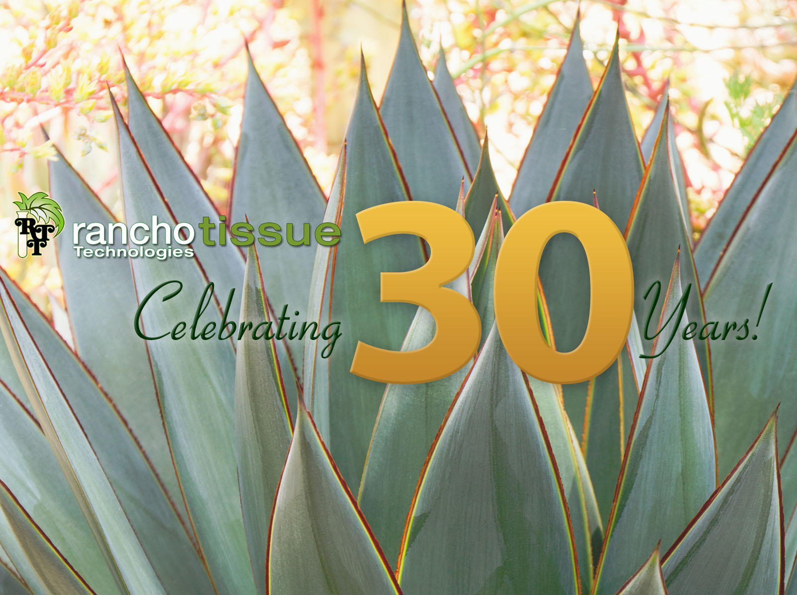 Rancho Tissue Celebrates 33 years